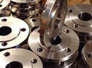 Hastelloy flanges